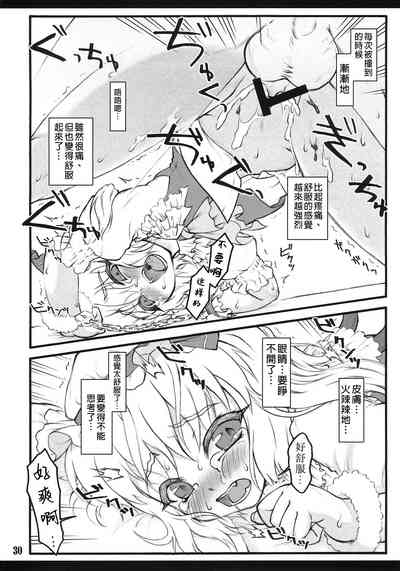 第29頁圖