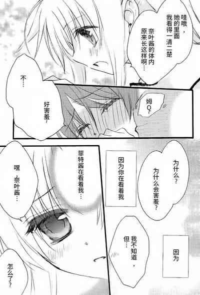 第41頁圖