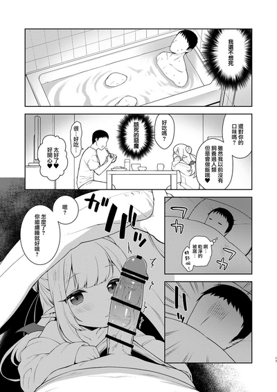 第17页图