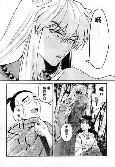 第17页图