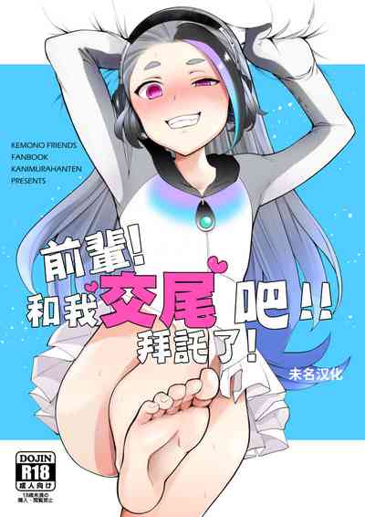 第1页图