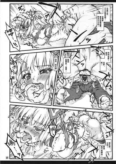 第17頁圖