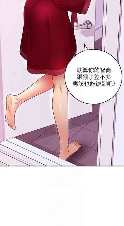 第481頁圖