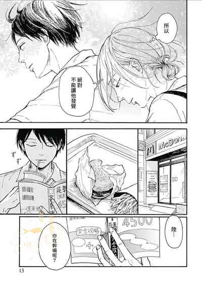 第13页图
