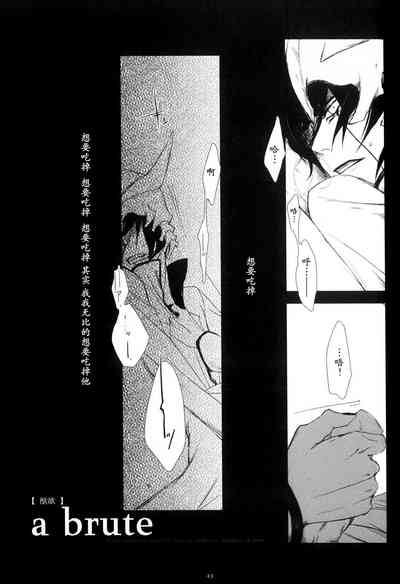 第41頁圖