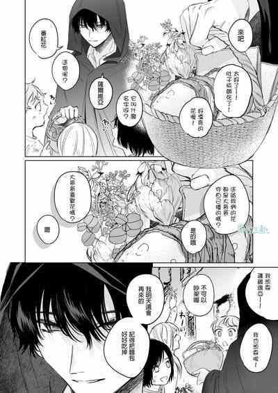 第17页图