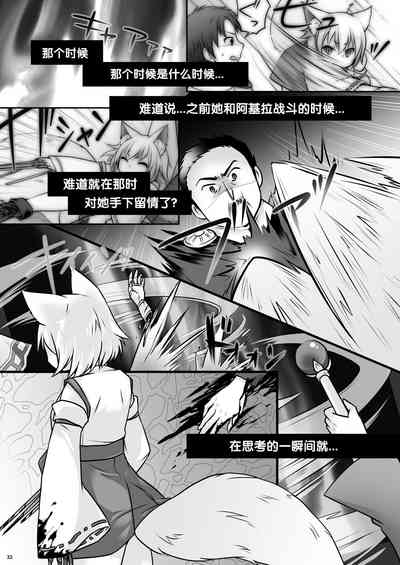 第33页图