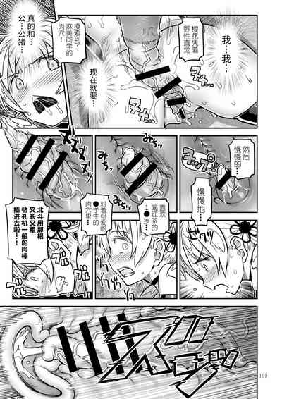 第17页图