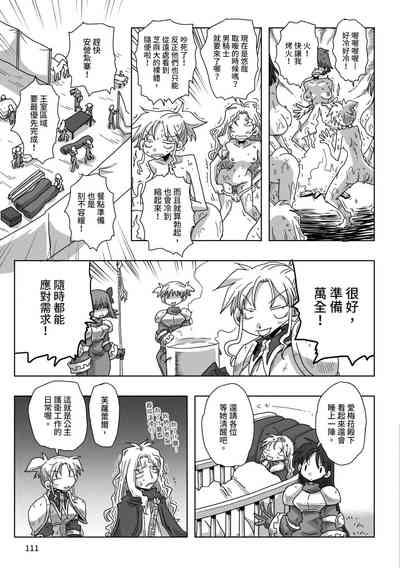 第113頁圖