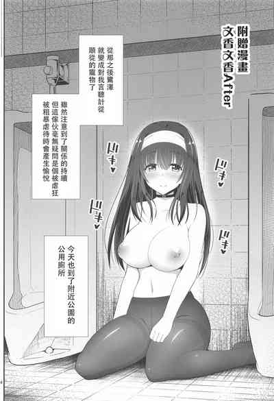 第33頁圖