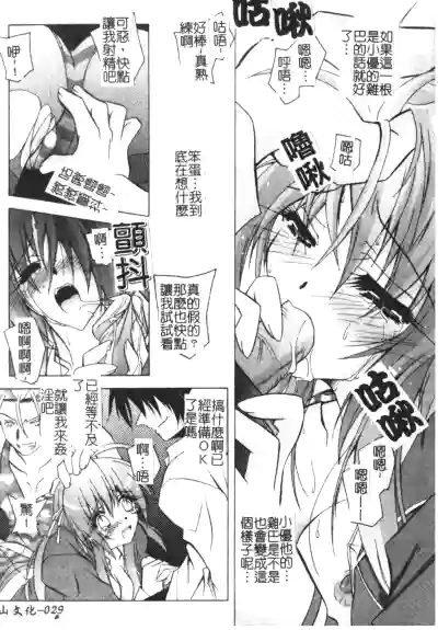 第29頁圖