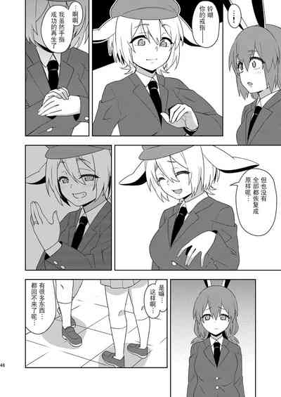 第45頁圖