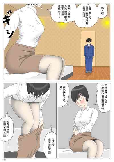 第17页图
