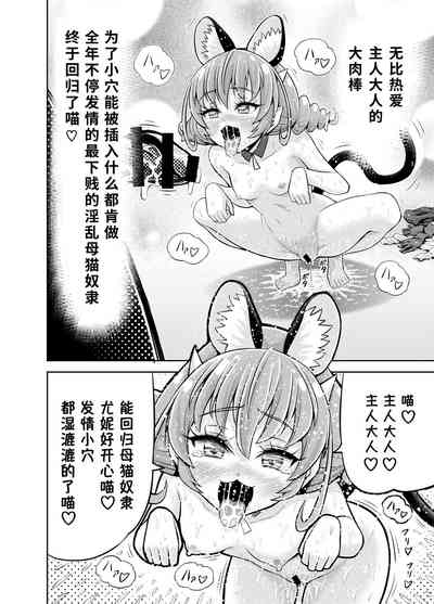 第33页图