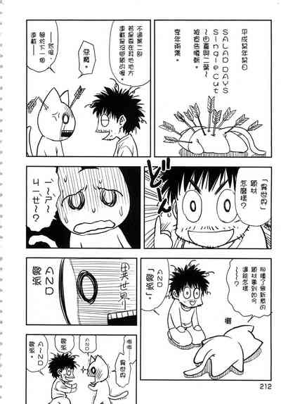 第213頁圖