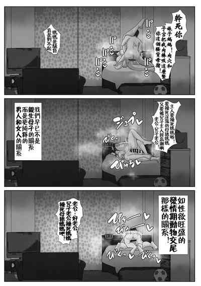 第33页图