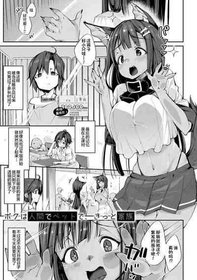 第153頁圖