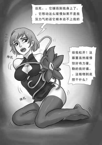 第29頁圖