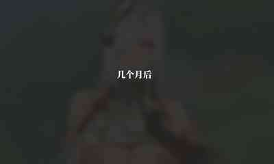 第13页图