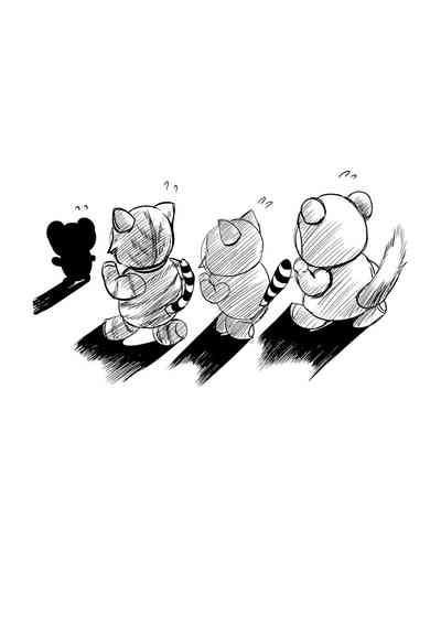 第117頁圖