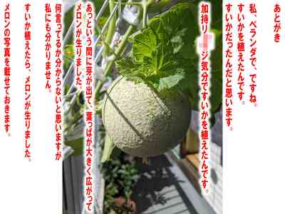 第45頁圖