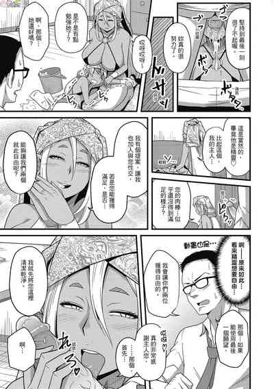 第41頁圖