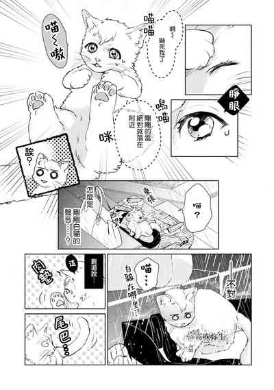 第13页图
