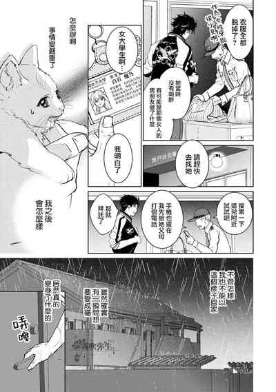 第17页图