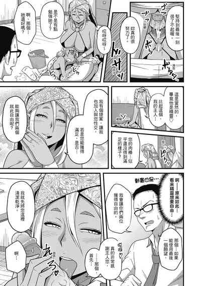 第41頁圖
