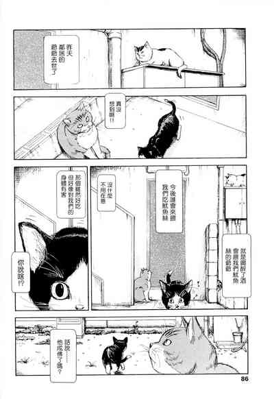 第77頁圖