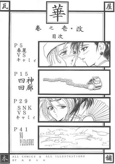 第45頁圖
