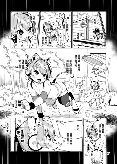 第37頁圖