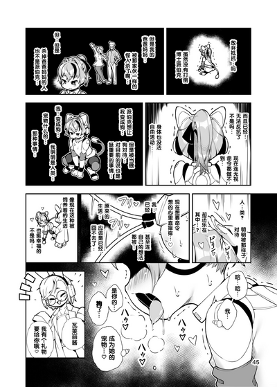 第45頁圖