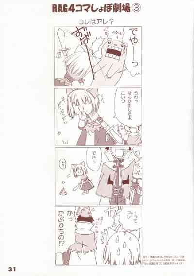 第29頁圖