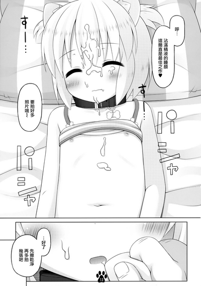 第13頁圖