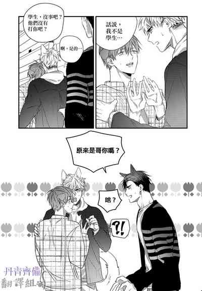 第297頁圖