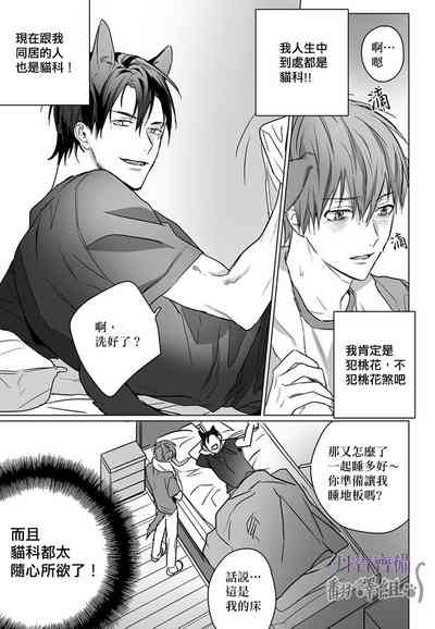 第29頁圖