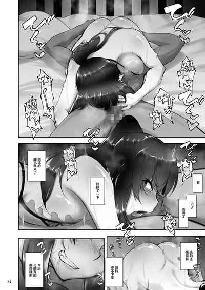 第33页图
