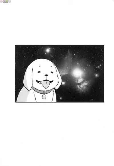 第153頁圖