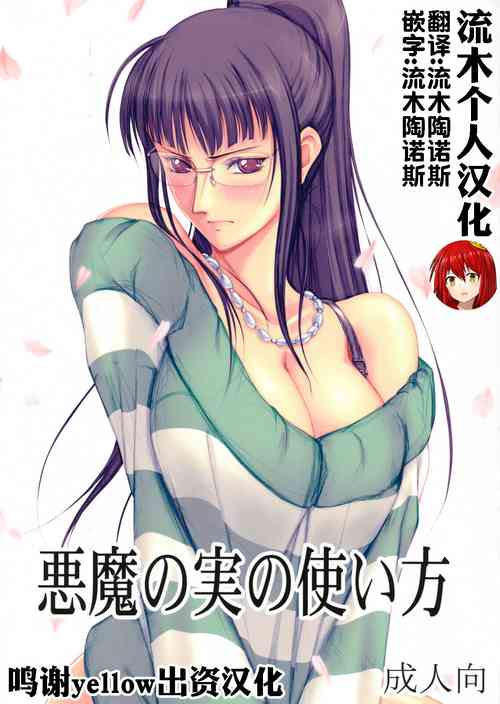 悪魔の実の使い方圖