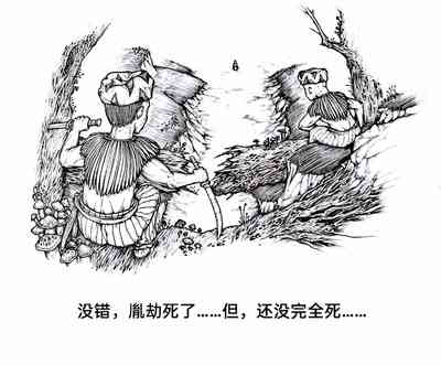 第73頁圖