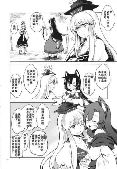 第13页图