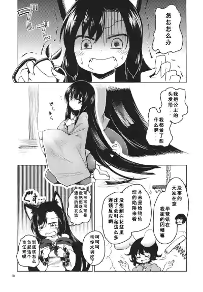 第17页图