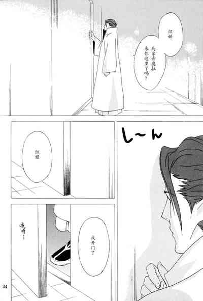 第33页图