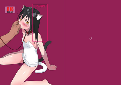 第1页图