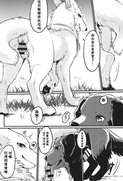 第13页图