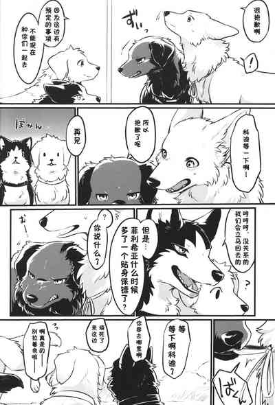第5页图