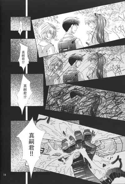 第13頁圖