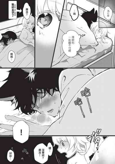 第17頁圖