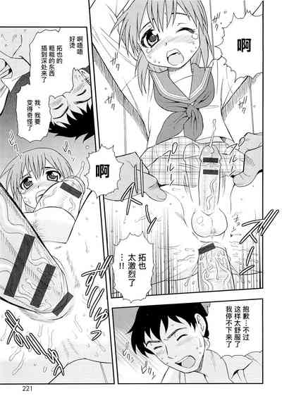 第225页图
